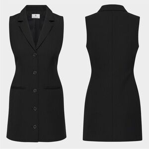 NWOT Aritzia Mastermind Dress